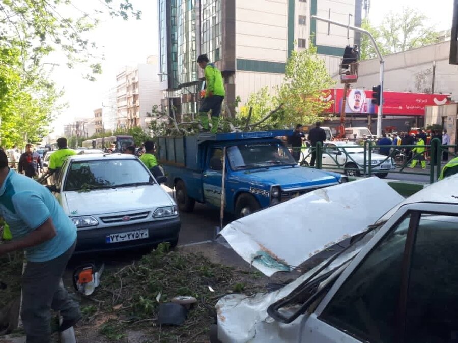 سقوط درخت کهنسال و پوسیده روی خودروها در خیابان ولیعصر تهران