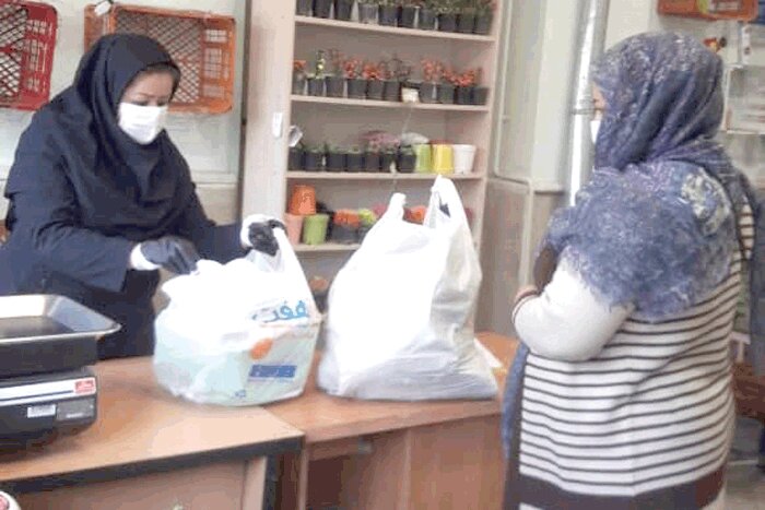 پسماند خشک بیار گلدان ببر