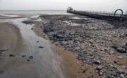 هشدار محیط زیست بوشهر به تخلیه فاضلاب در خلیج فارس