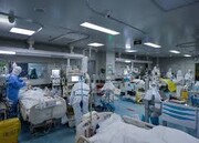 تعداد بیماران مبتلا به کرونا در گیلان از ۸۰۰ نفر گذشت