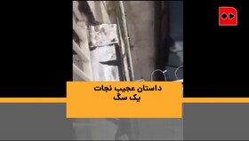 اختصاصی همشهری | نجات یک سگ از دست حیوان‌آزاری که در دادگاه هم محکوم شده بود