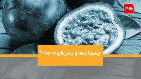 چشم اژدها و پشن‌فروت چند؟| گزارش همشهری از بازار میوه‌های لاکچری | نمیتونم بخرم، حداقل از دیدنشون لذت می‌برم!