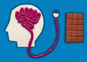 کشف مکانیسم «سوئیچ گرسنگی» در مغز به امید درمان چاقی