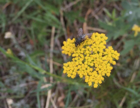 قهرمانان پنهان نجات‌دهنده طبیعت!