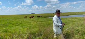 وسترن اسکورسیزی مقابل دوربین رفت