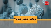 ویدئو | تریاک، درمان کرونا؟