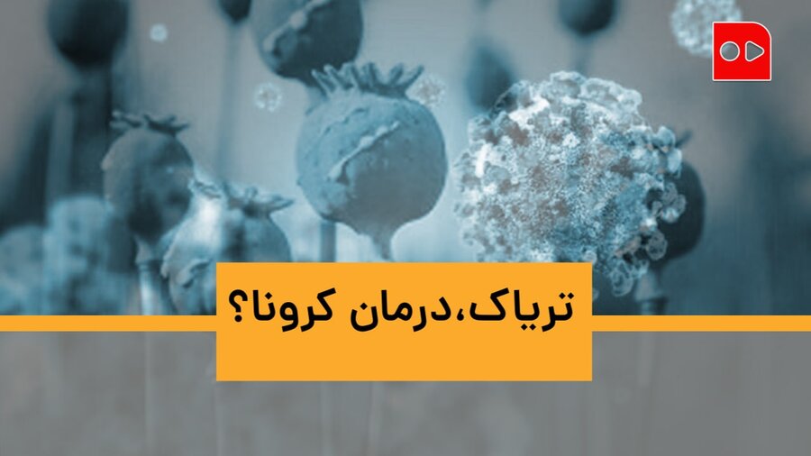 تریاک،درمان کرونا؟