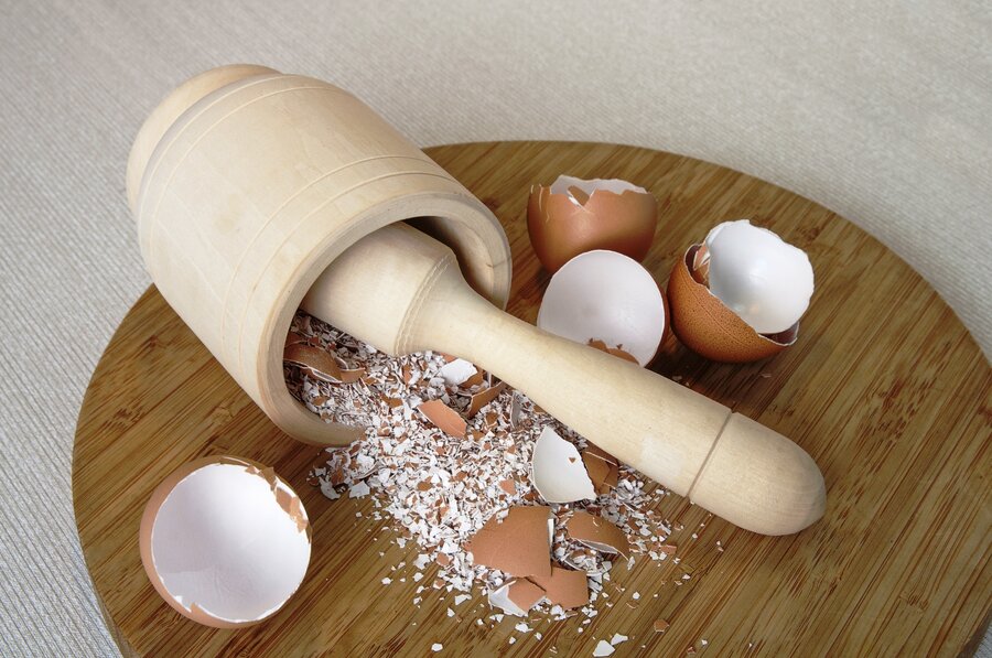 پوست تخم مرغ را دور نیندازید | روش ساخت کود گیاهی با پوست تخم مرغ