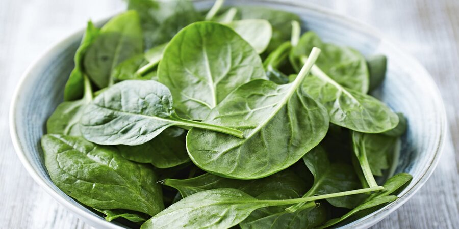 Spinach - اسفناج - تغذیه - سبزیجات