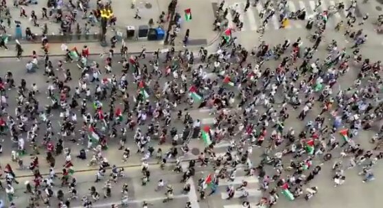 تظاهرات مردم شیکاگو در دفاع از فلسطین