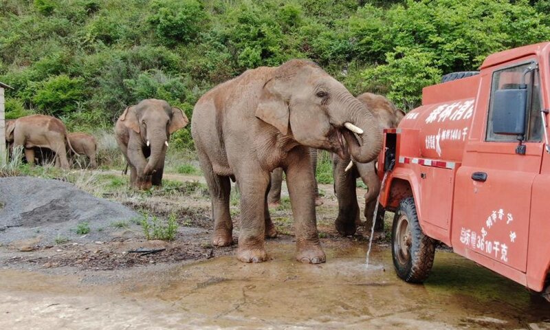 فیل‌های چینی در روستاهای مسیر