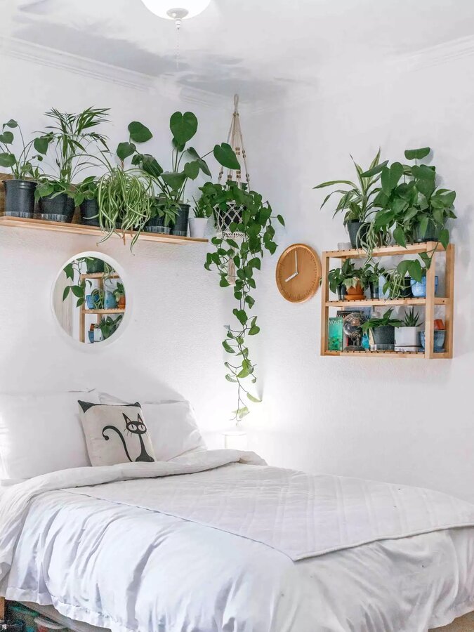 ۱۰ ایده خلاقانه برای چیدمان گیاهان آپارتمانی در خانه‌های کوچک