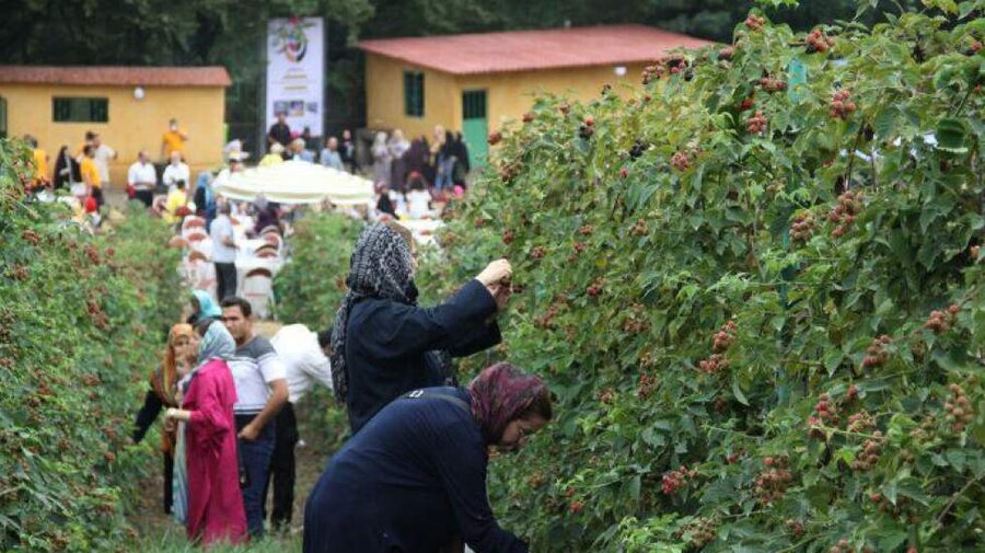 کشاورزی و گردشگری