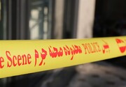ماجرای خودکشی دانشجوی پزشکی بعد از قتل همسرش