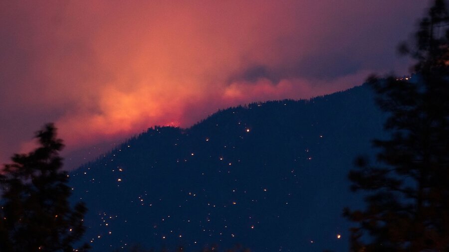 آتش سوزی جنگلها