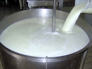 قیمت یک لیتر شیر الاغ در بازار | جدول قیمت انواع شیر حیوانی و گیاهی