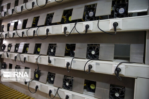 مزرعه رمز ارز