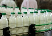 هزینه خرید شیر کم چرب چقدر است؟ | شیر کم چرب سنتی لیتری ۲۹ هزار تومان