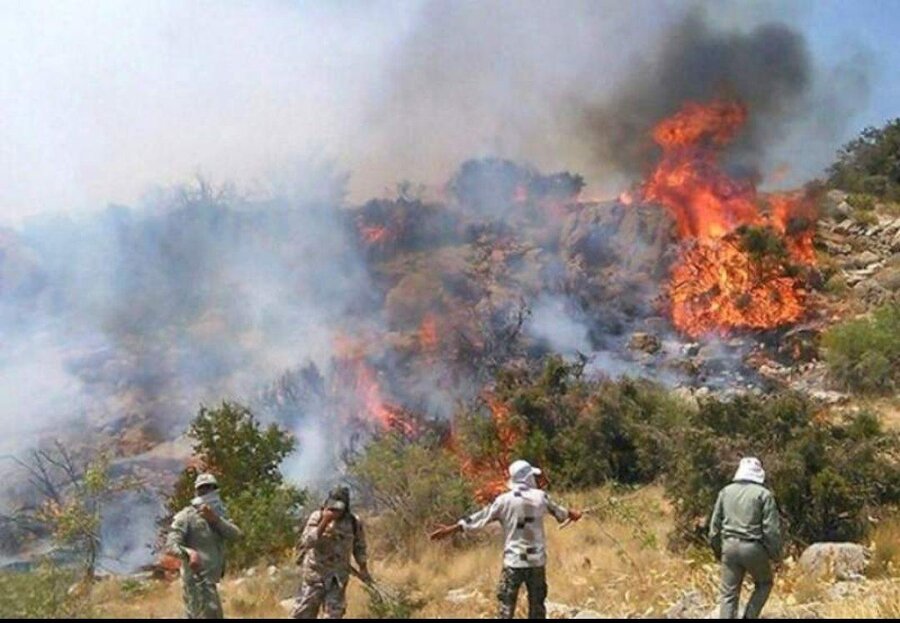 آتش‌سوزی جنگلهای گچساران