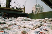 برنج خارجی گران تر می شود؟