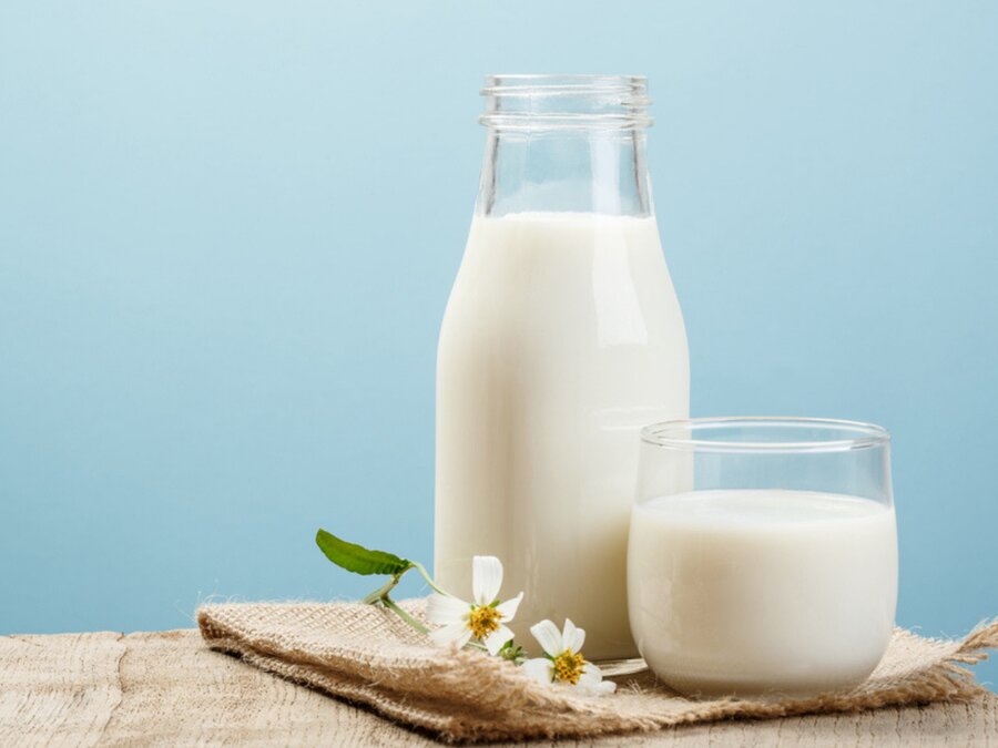 شیر - لبنیات - میلک - Milk