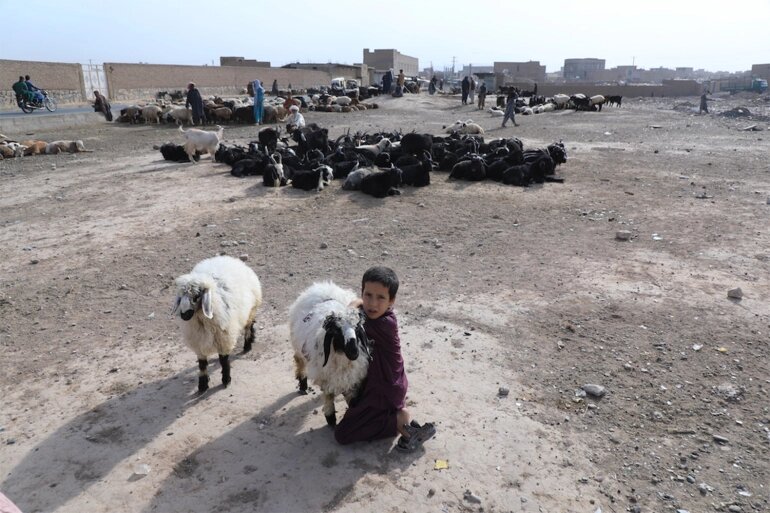تصاویر | افغانستان امسال و در آستانه عید سعید قربان چگونه است؟