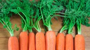خواص شگفت‌انگیز تفاله هویج | چگونه ته‌دیگ هویج درست کنیم؟