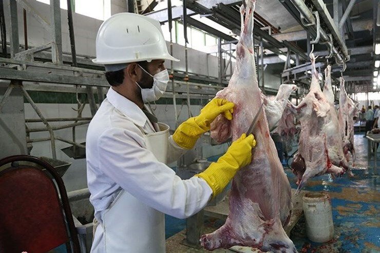 مراکز ذبح دام