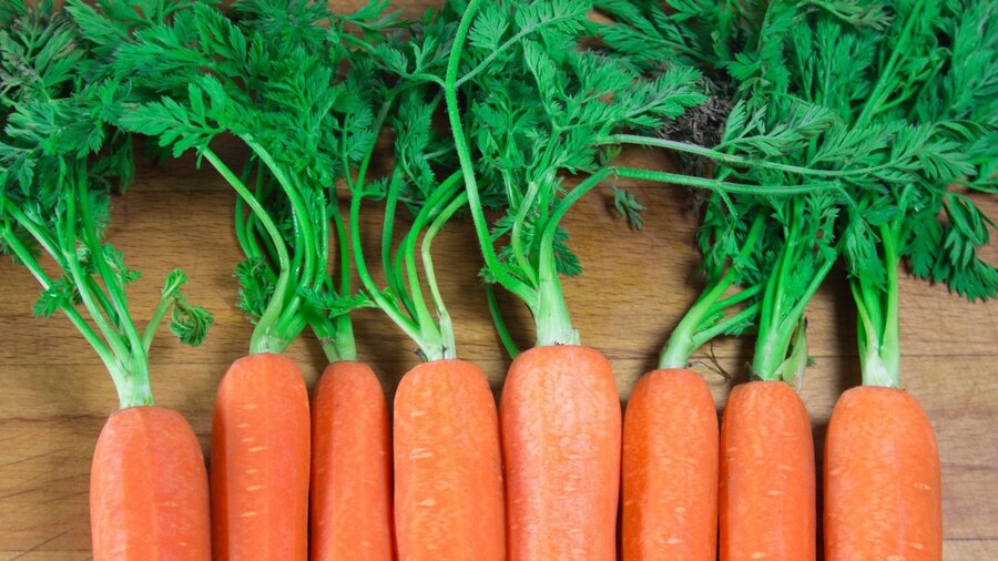 Carrots - هویج - برگ هویج