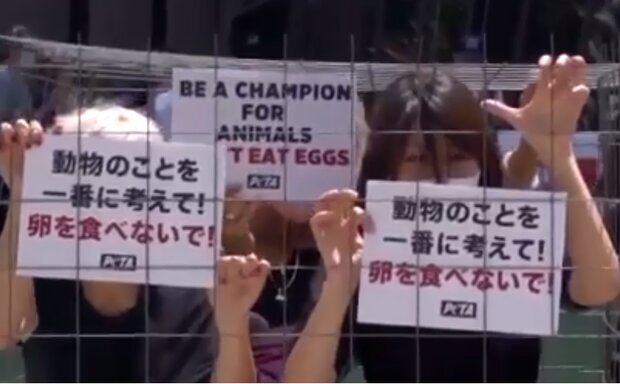 عکس | تخم‌مرغ؛ سوژه معترضان ژاپنی برگزاری المپیک 