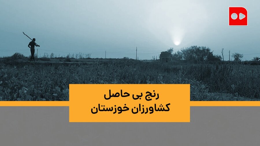 رنج بی حاصل کشاورزان خوزستان