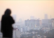 چند درصد ایرانی‌ها مبتلا به آلرژی هستند؟ | آلودگی هوا و ریزگردها در افزایش آمار آلرژی تاثیر دارد؟