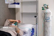 فوت ۳۰ درصد مبتلایان به قارچ سیاه در یک بیمارستان تهران
