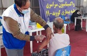 زالی: ۷ میلیون دوز واکسن نیازمندیم | ظرف ۱۰ روز واکسیناسیون استان تهران را به اتمام می‌رسانیم