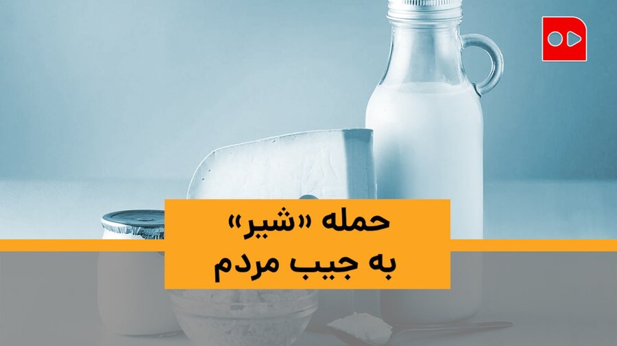 حمله «شیر» به جیب مردم