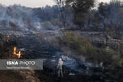 تصاویر | آتش در سایت گوزن زرد ایرانی و جنگل‌های کرخه | احتمال دست داشتن دامداران منطقه در حریق عمدی