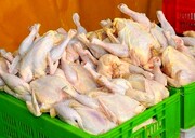 جدیدترین قیمت گوشت مرغ در بازار  | هر کیلو مرغ چند شد؟