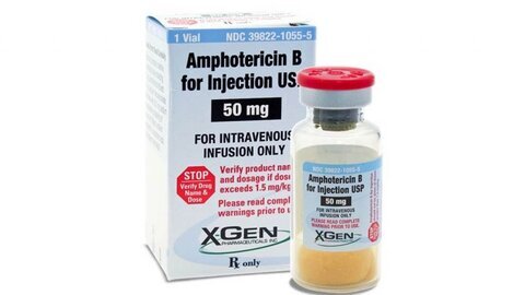 داروی قارچ سیاه