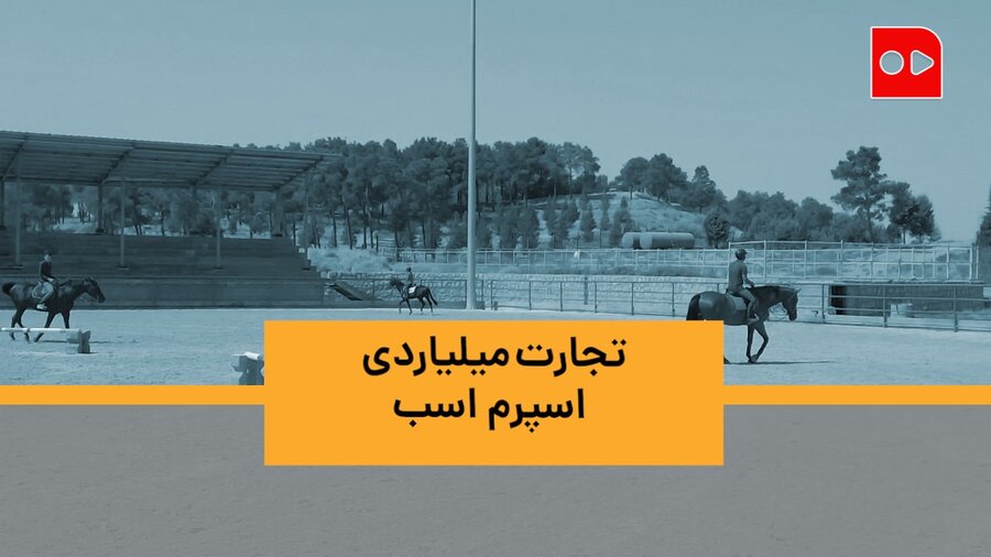 ویدئو | تجارت میلیاردی اسپرم اسب در ایران | اسپرم هر نژادی بخواهید هست، حتی منقرض شده!