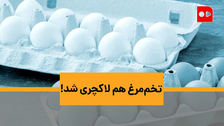 تخم‌مرغ هم لاکچری شد!