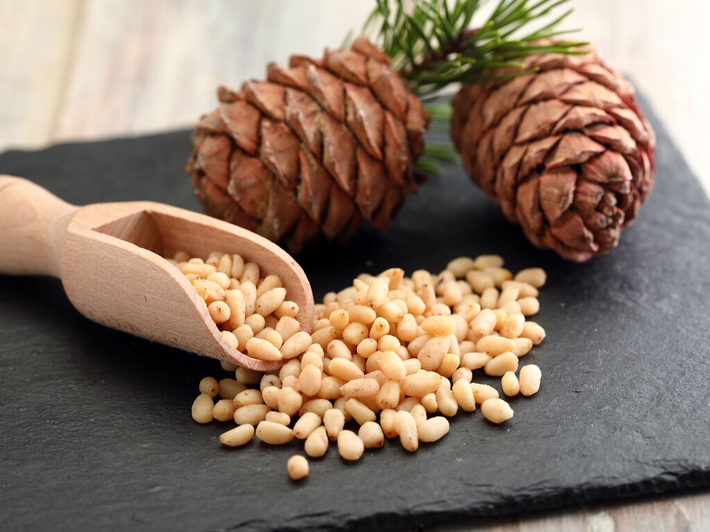 Pine fruit kernels - مغز میوه درخت کاج