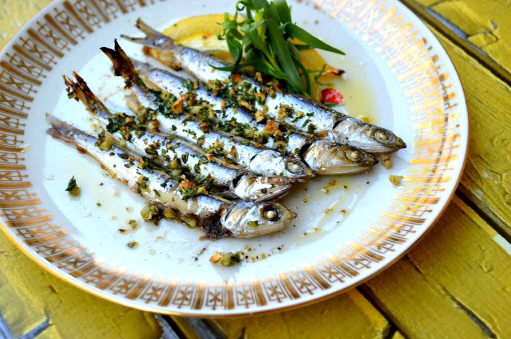 sardine fish - ماهی ساردین