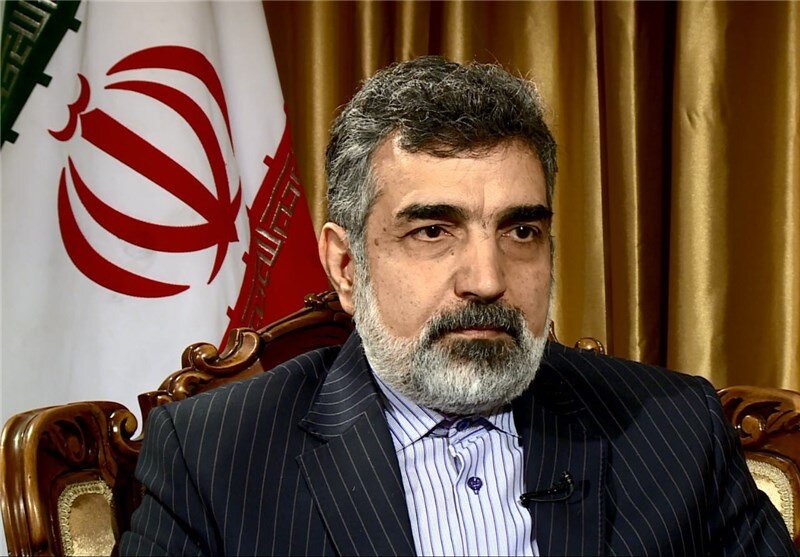 کمالوندی: آژانس اتمی انتشار اطلاعات و نامه‌های محرمانه ایران را متوقف کند