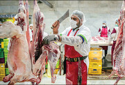 توزیع گوشت وارداتی؛ به نام مردم به کام رستوران‌ها | گوشت یخ زده برزیلی در راه بازار