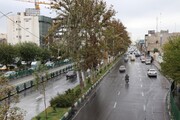 بارش باران مانع تردد در معابر غربی پایتخت نشد
