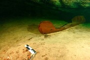 کشف قایق باستانی مایاها در مکزیک