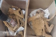 تصاویر جسد کودکان سه هزار ساله‌ای که در قزوین پیدا شد | یکی از کودکان ثروتمند بوده است