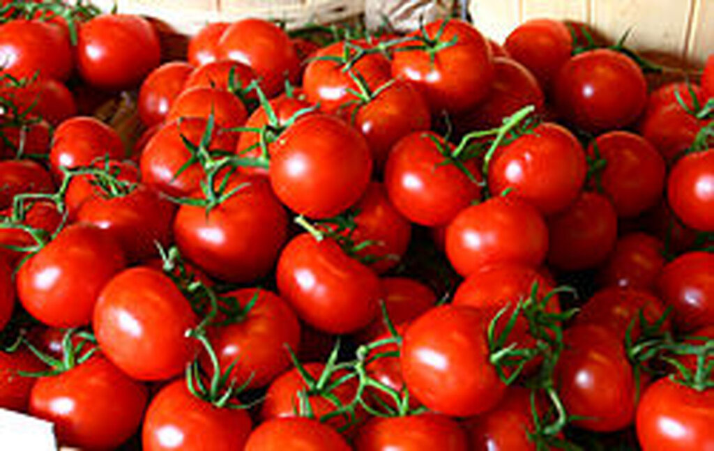 جدول | قیمت میوه در میادین تره‌بار |  گوجه فرنگی ارزان می شود؟