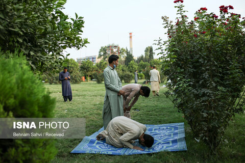 تعدادی از جوانان شهر جلال آباد افغانستان در حال خواندن نماز عصر.