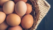اشتباهات رایج درباره ارزش غذایی تخم مرغ
